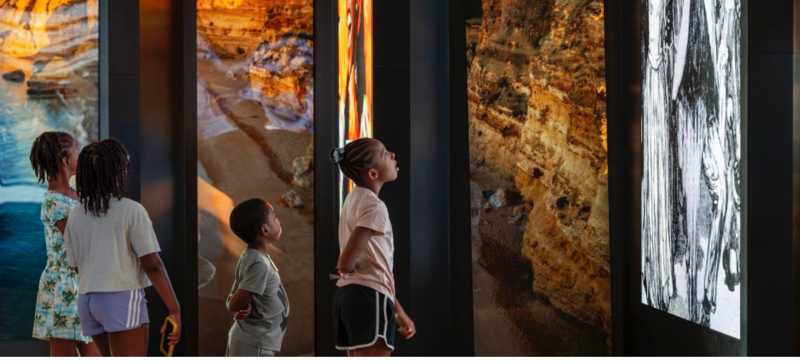 African American History Summer Camp