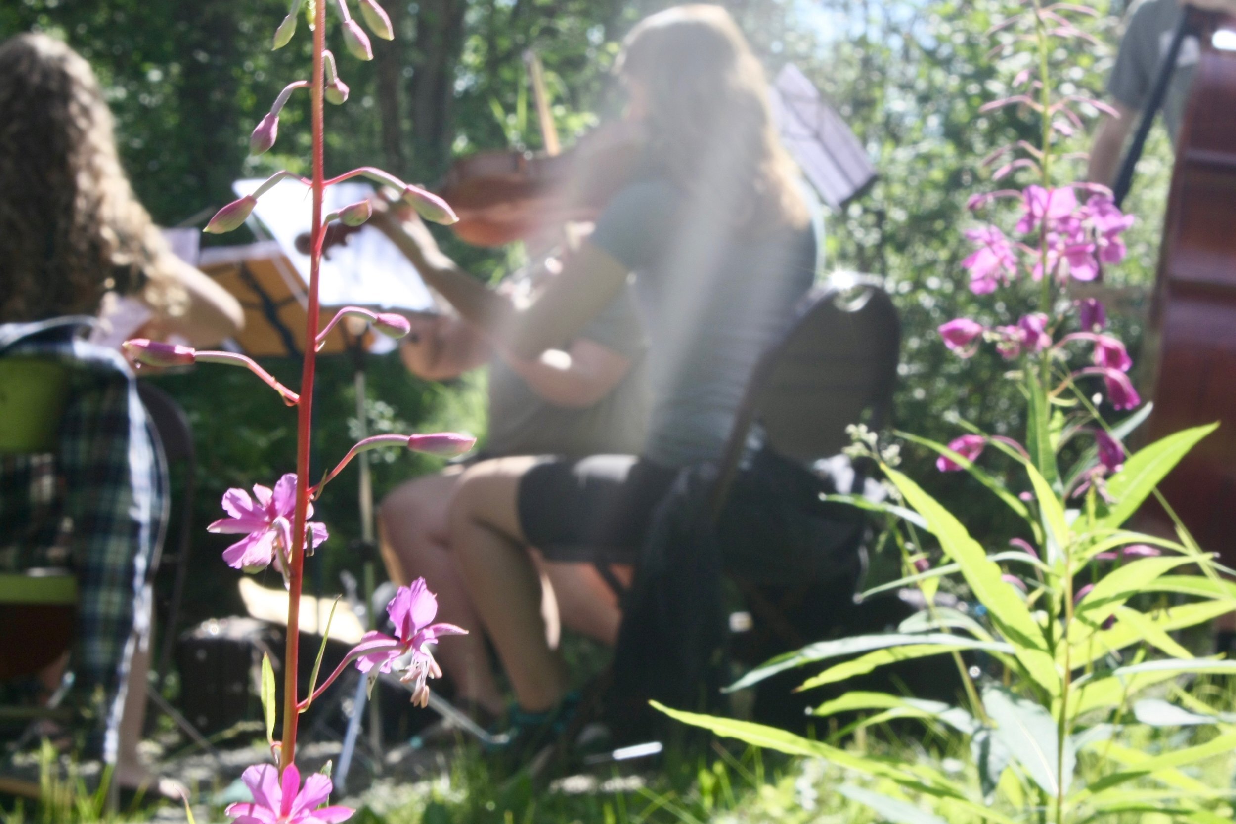 HoWL - Homer Wilderness Leaders фото 1