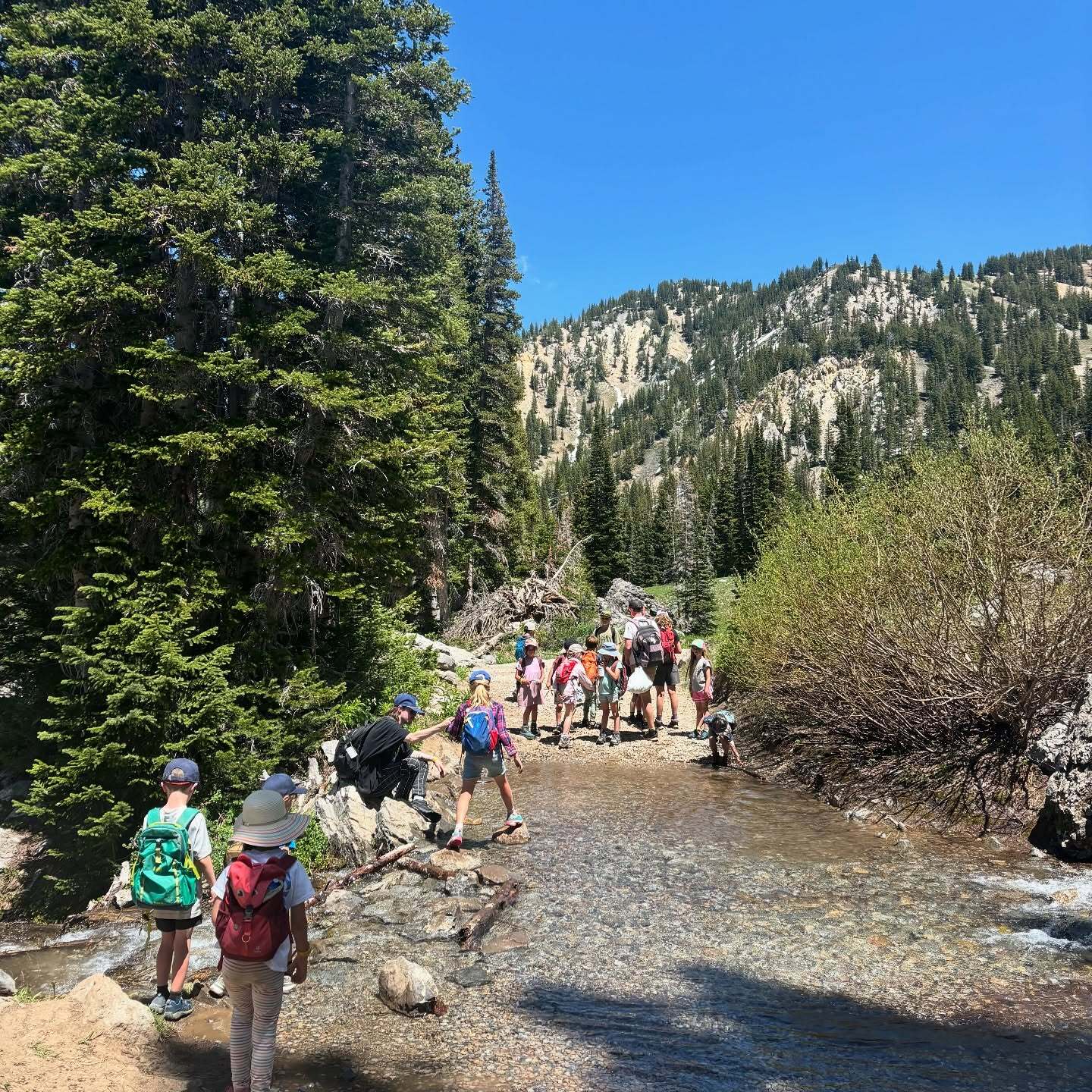 Camp Aranzazu фото 1