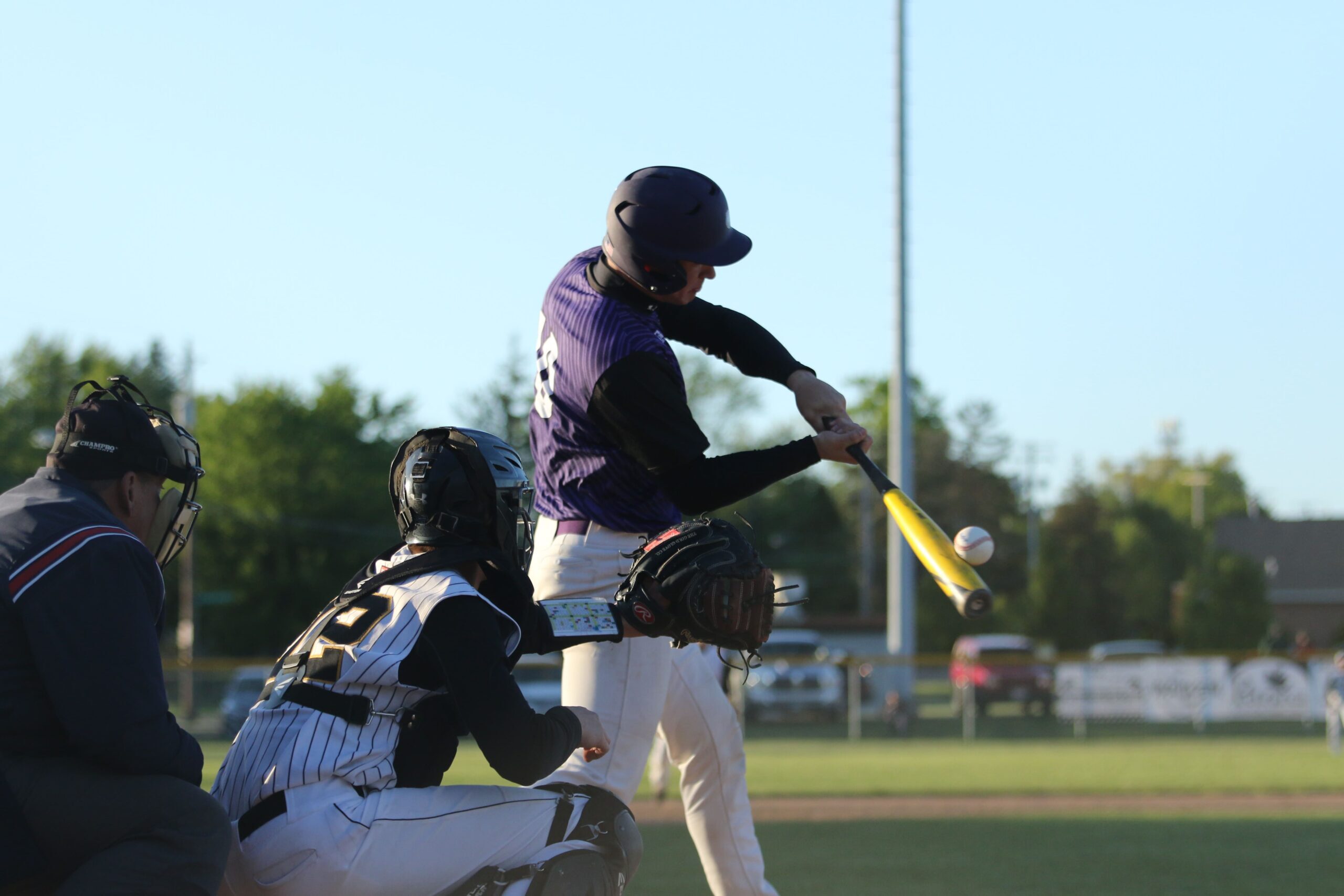 America's Baseball Camps - Arizona