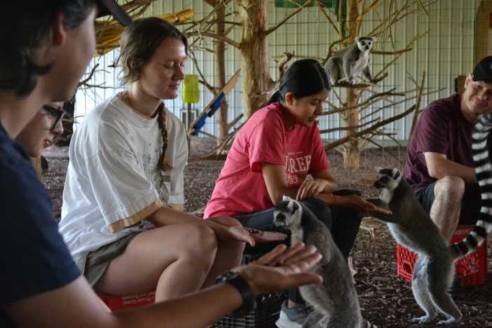Animal Camp - Cub Creek Science Camp