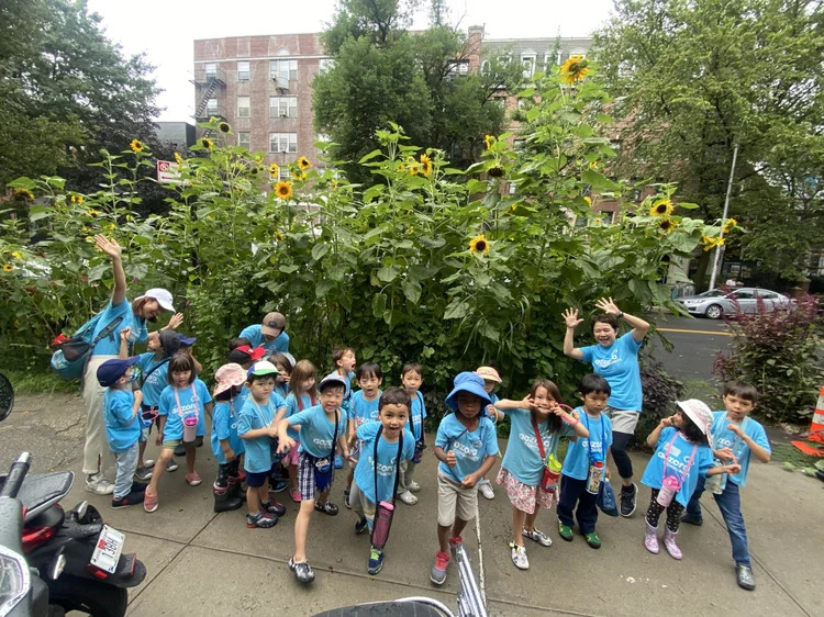 Aozora Summer Camp photo 1