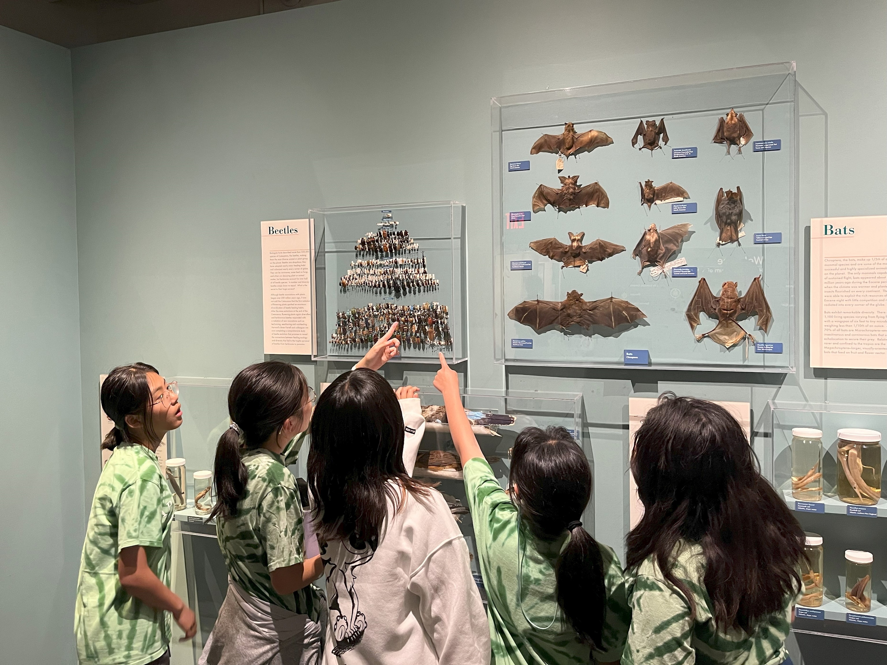 Camp Mah-Kee-Nac фото 1