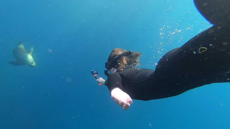 Aqua Explorers Summer Camp