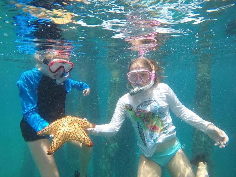 Aqua Explorers Summer Camp фото 1