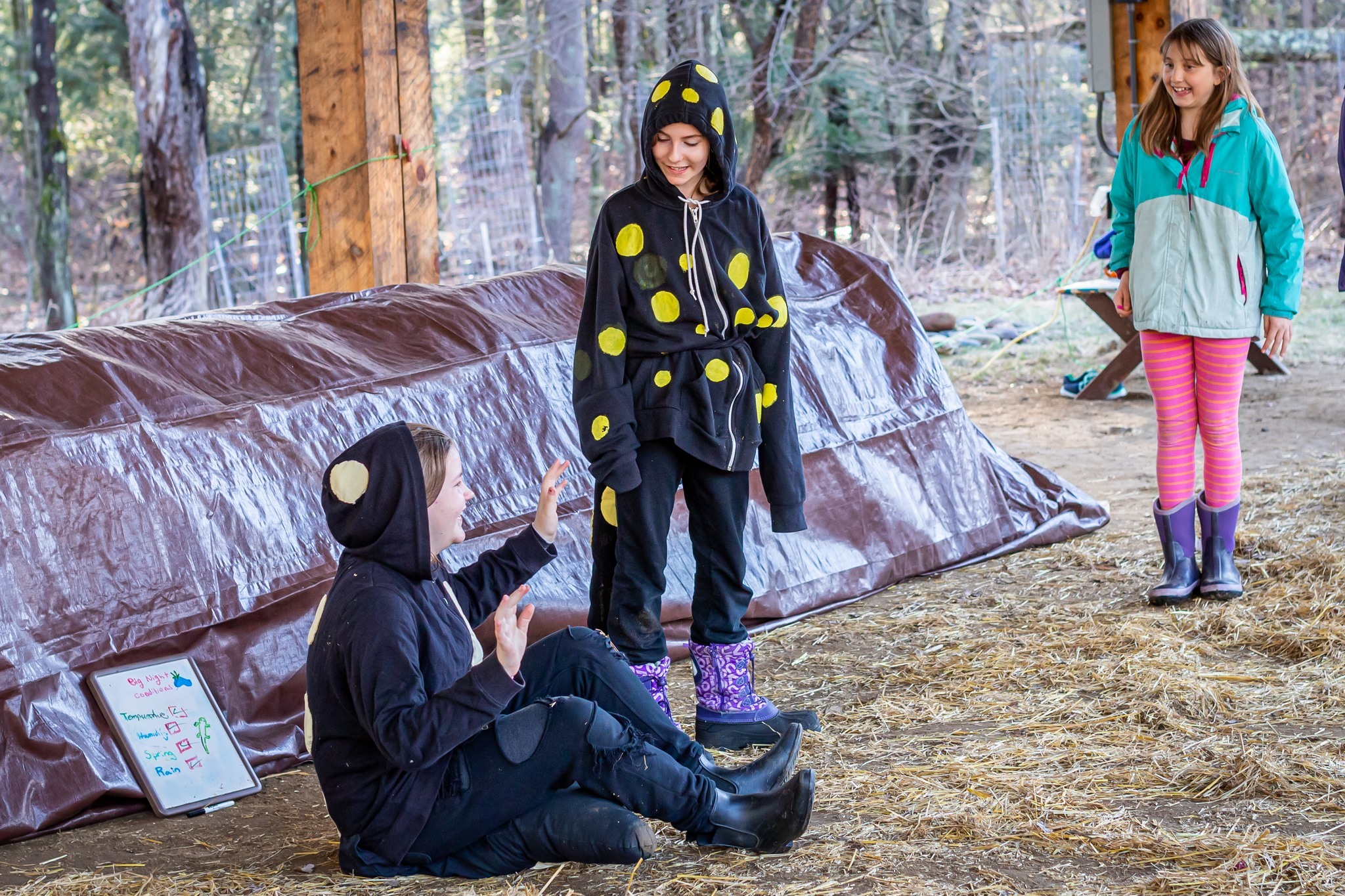 Arcadia Nature Day Camp photo 1