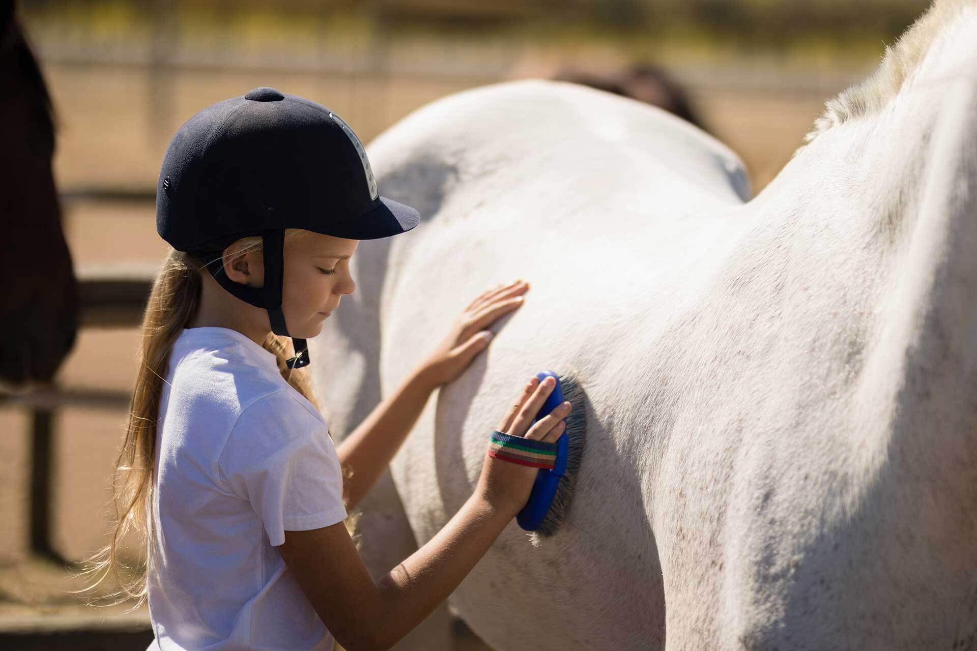 Arizona Cowboy College Summer Horse Camp