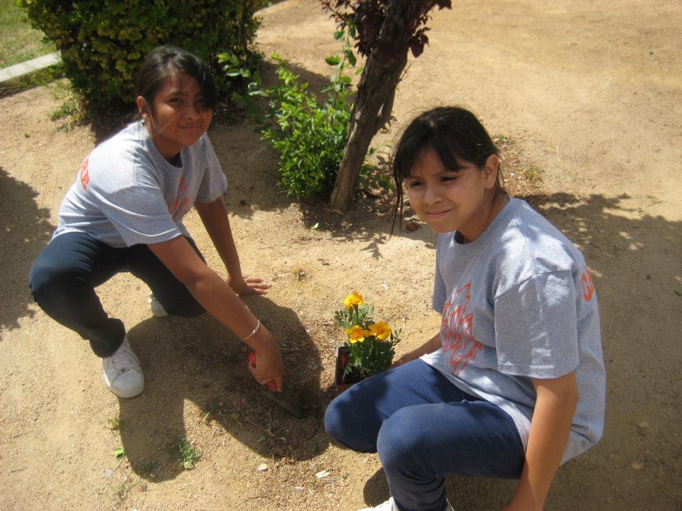 Camp Innovation фото 1