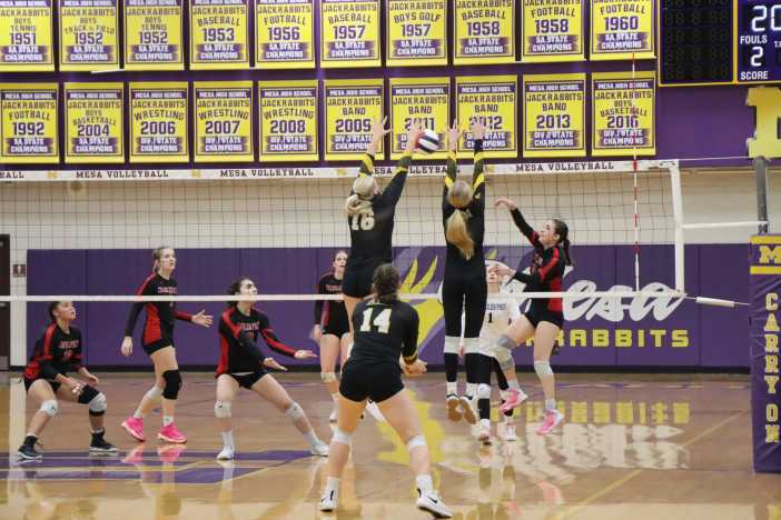 Arizona Lutheran Academy