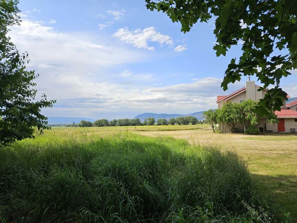 Summer At Delphian фото 1