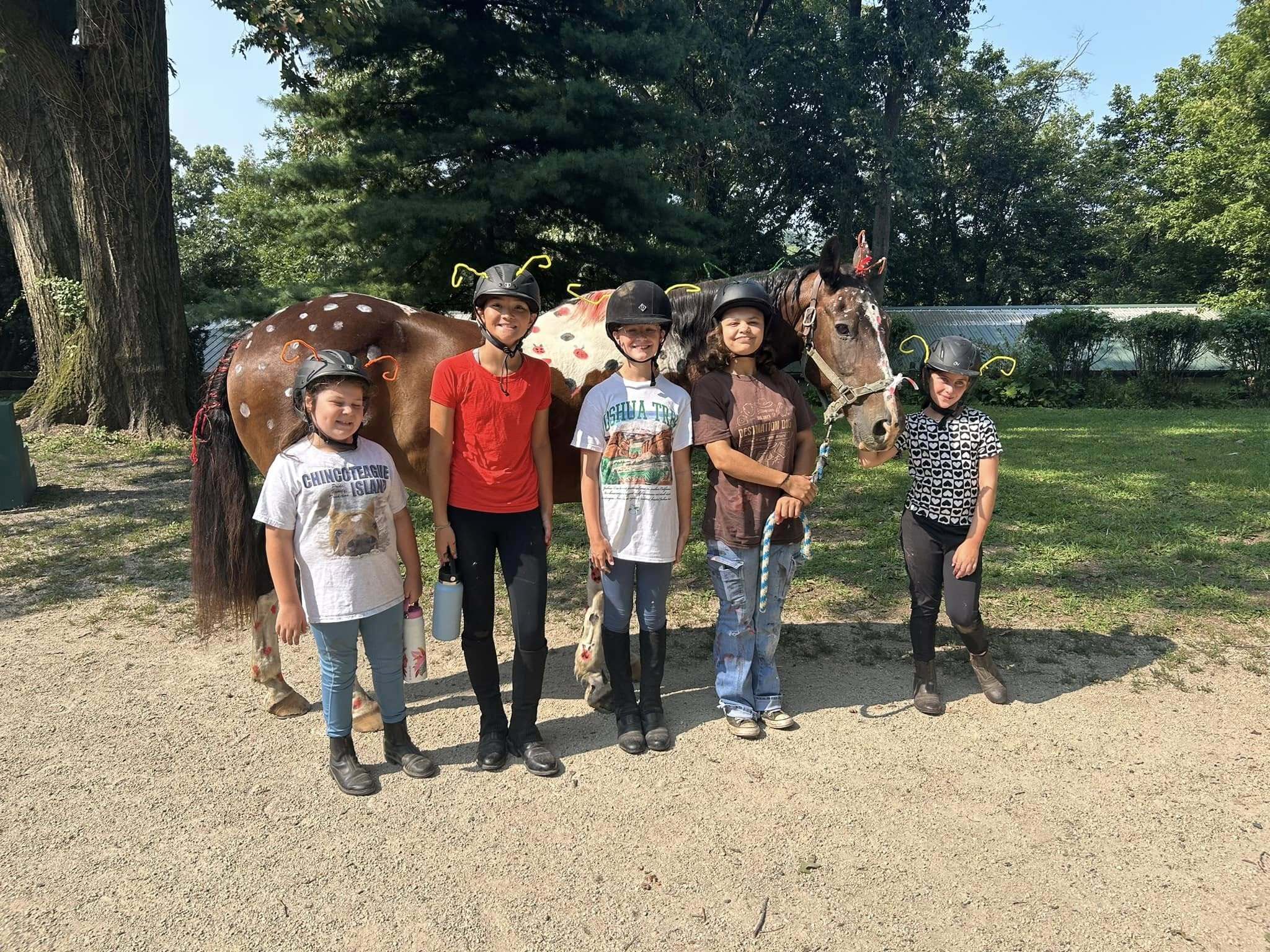 Ashford Farm Riding Camp photo 1