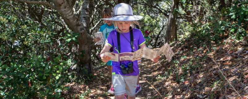 Audubon Adventure Summer Camps