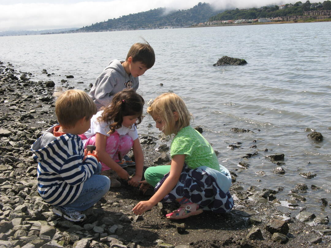 Camp Discovery фото 1