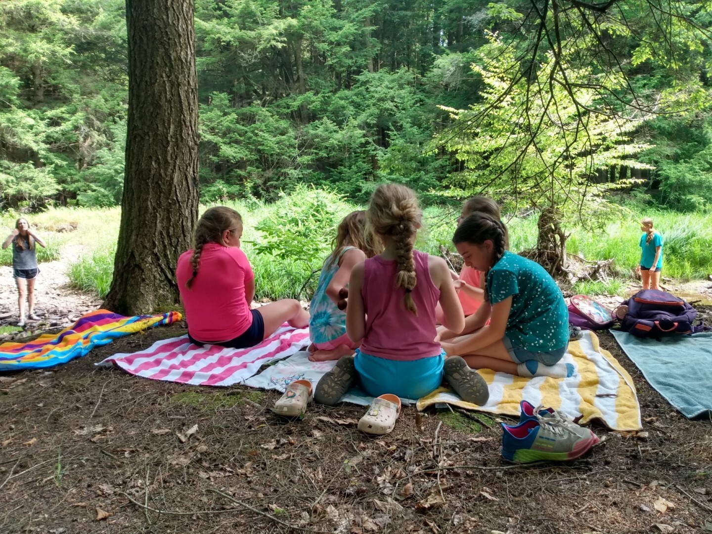 Bear Creek Camp фото 1