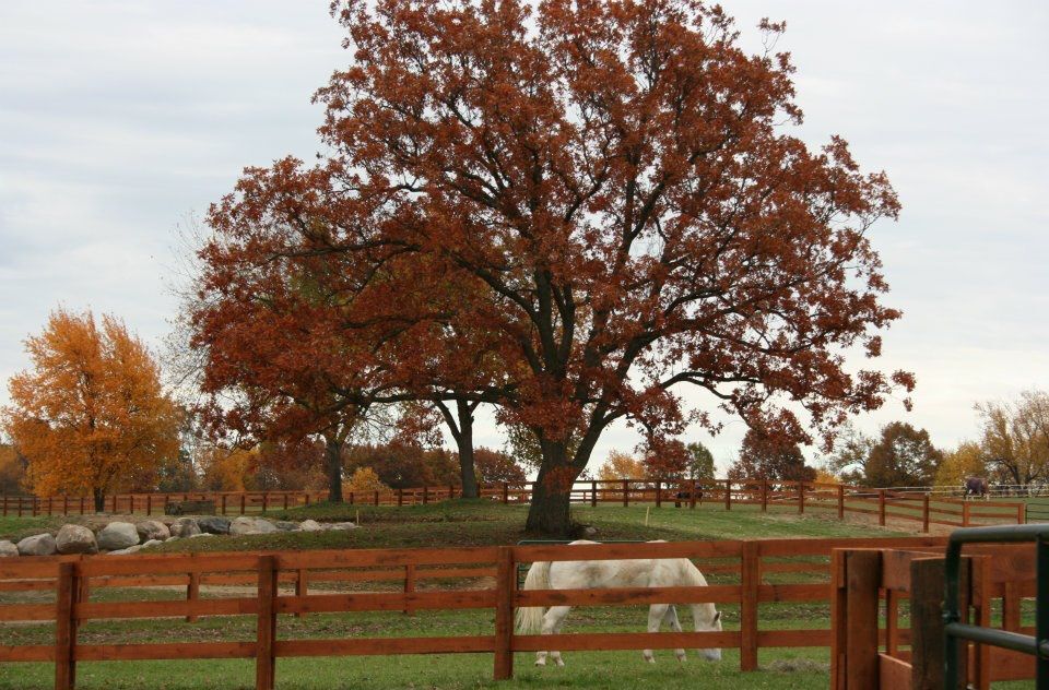 Camp Hawthorn Hollow фото 1