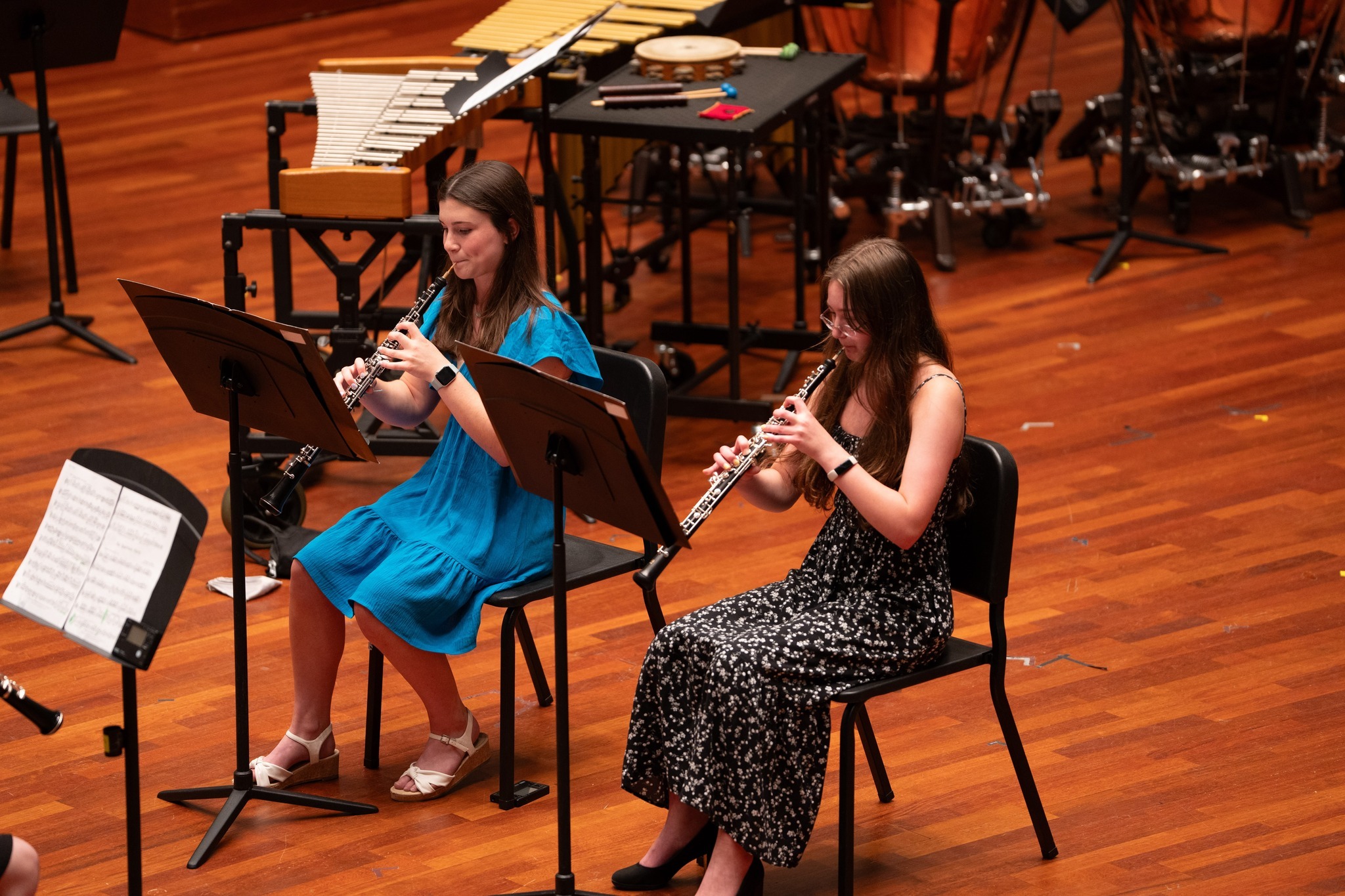 Knoxville Symphony Youth Ensemble’s Summer Music Camp фото 1