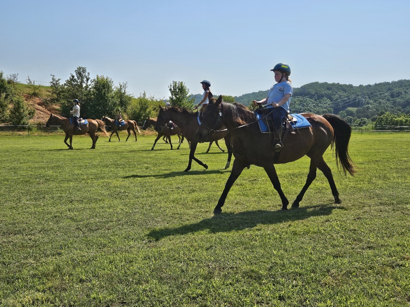 Nashville Zoo Camp фото 1