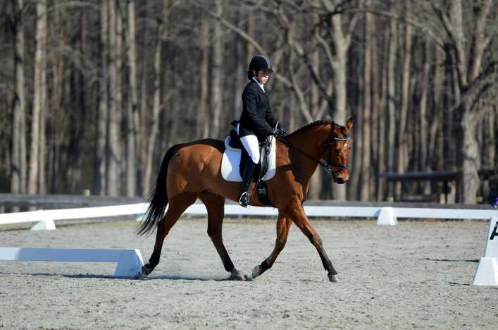 Blue Ribbon Horseback Riding Camp