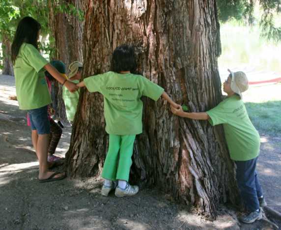 Bodhi Youth Of America Camp