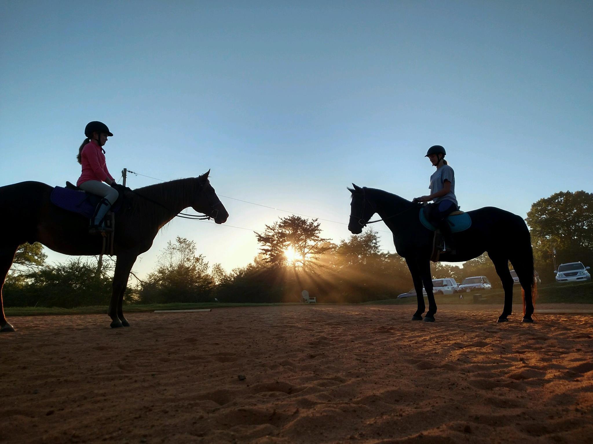 Bramblewood Stables
