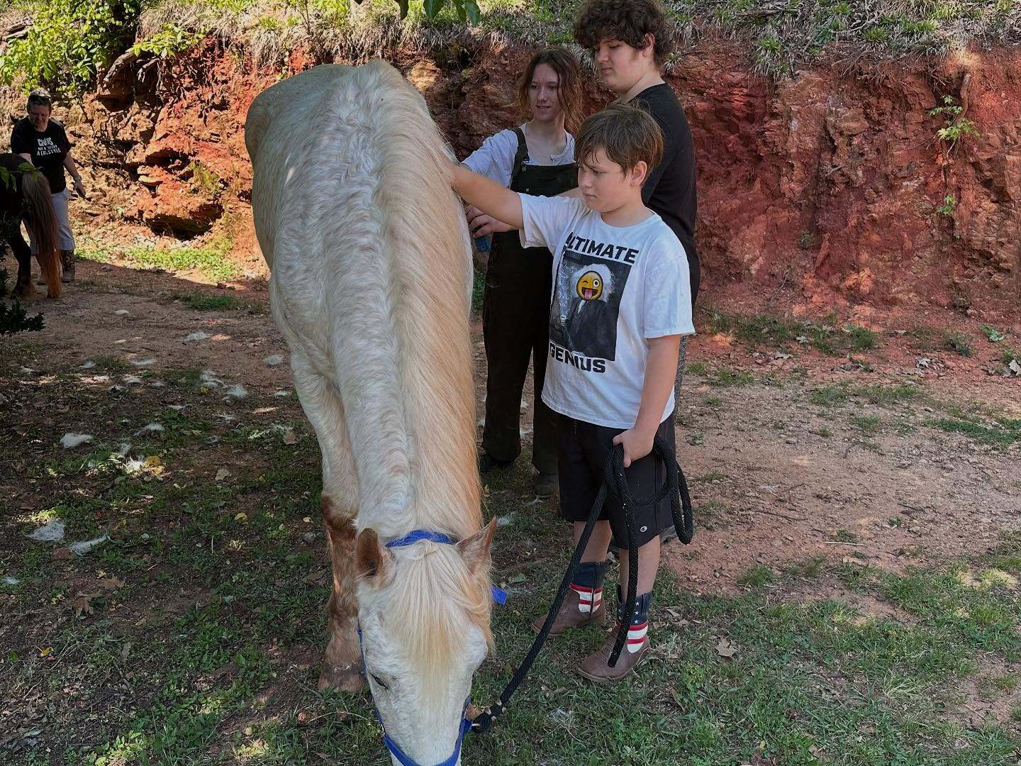 Eden Farms Horse Barn фото 1