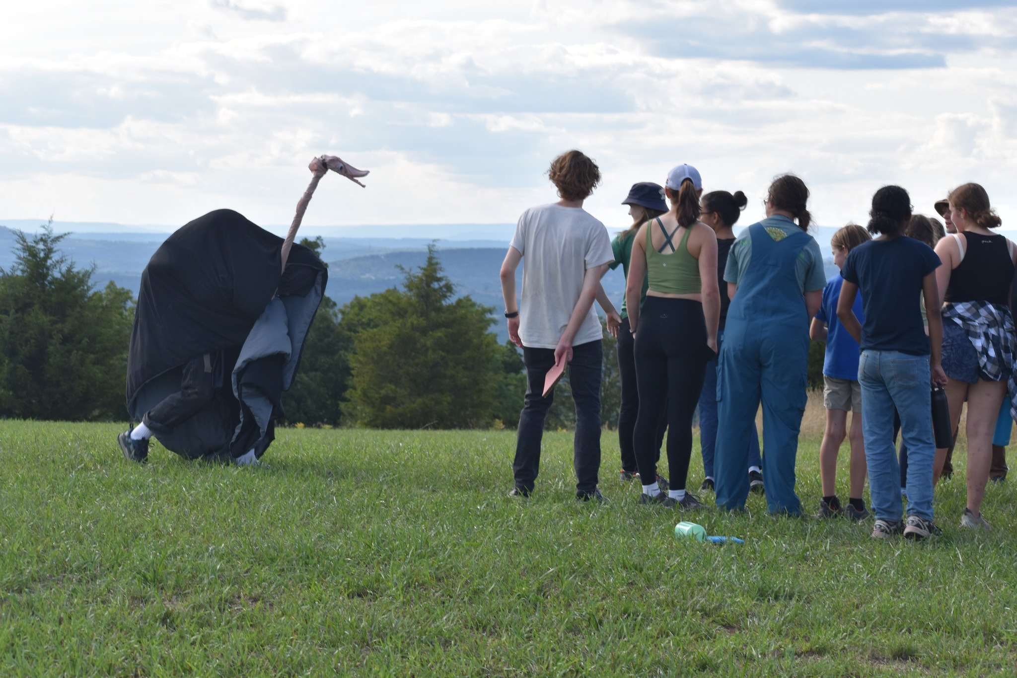 Camp Twin Creeks фото 1