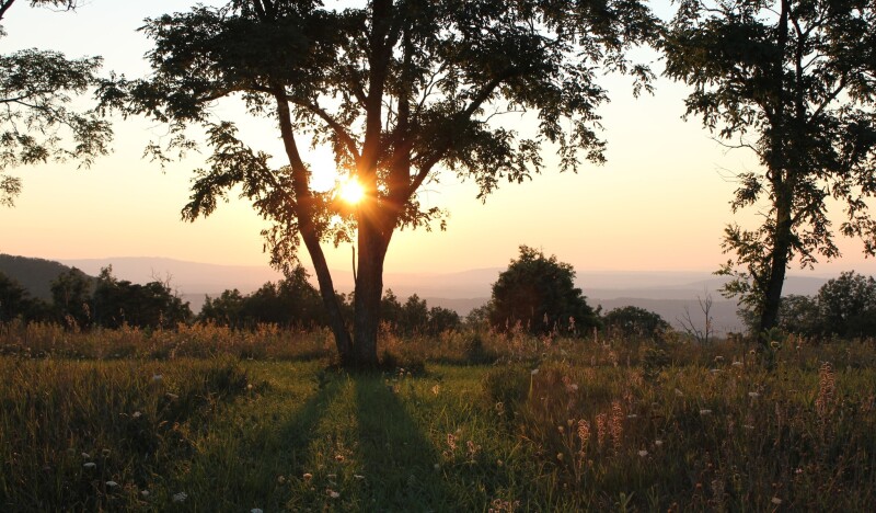 Burgundy Center For Wildlife Studies