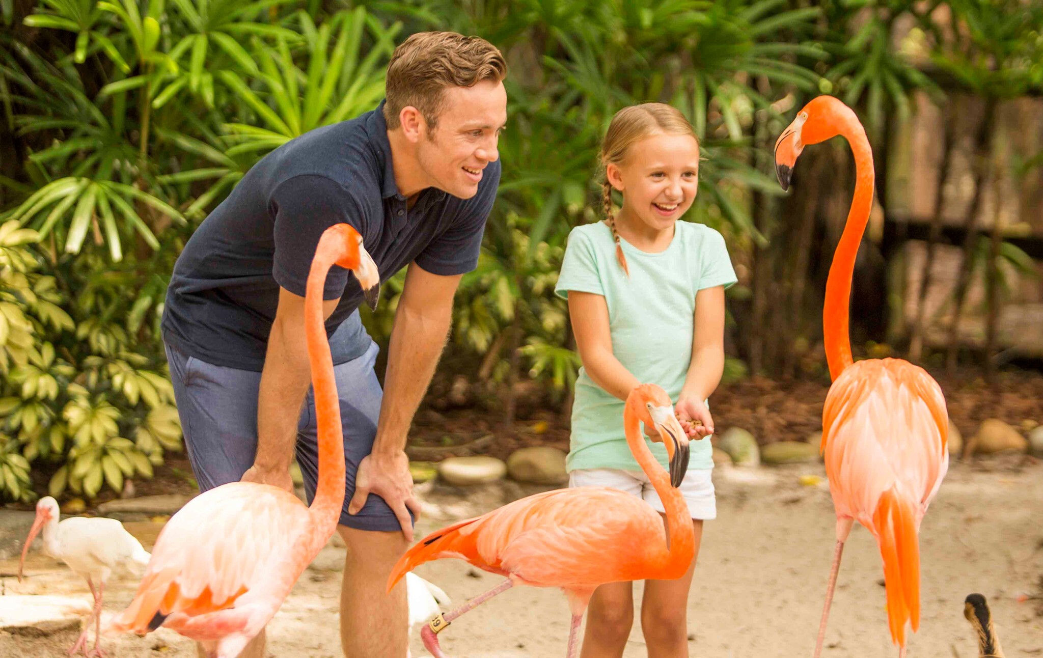 Busch Gardens Camp