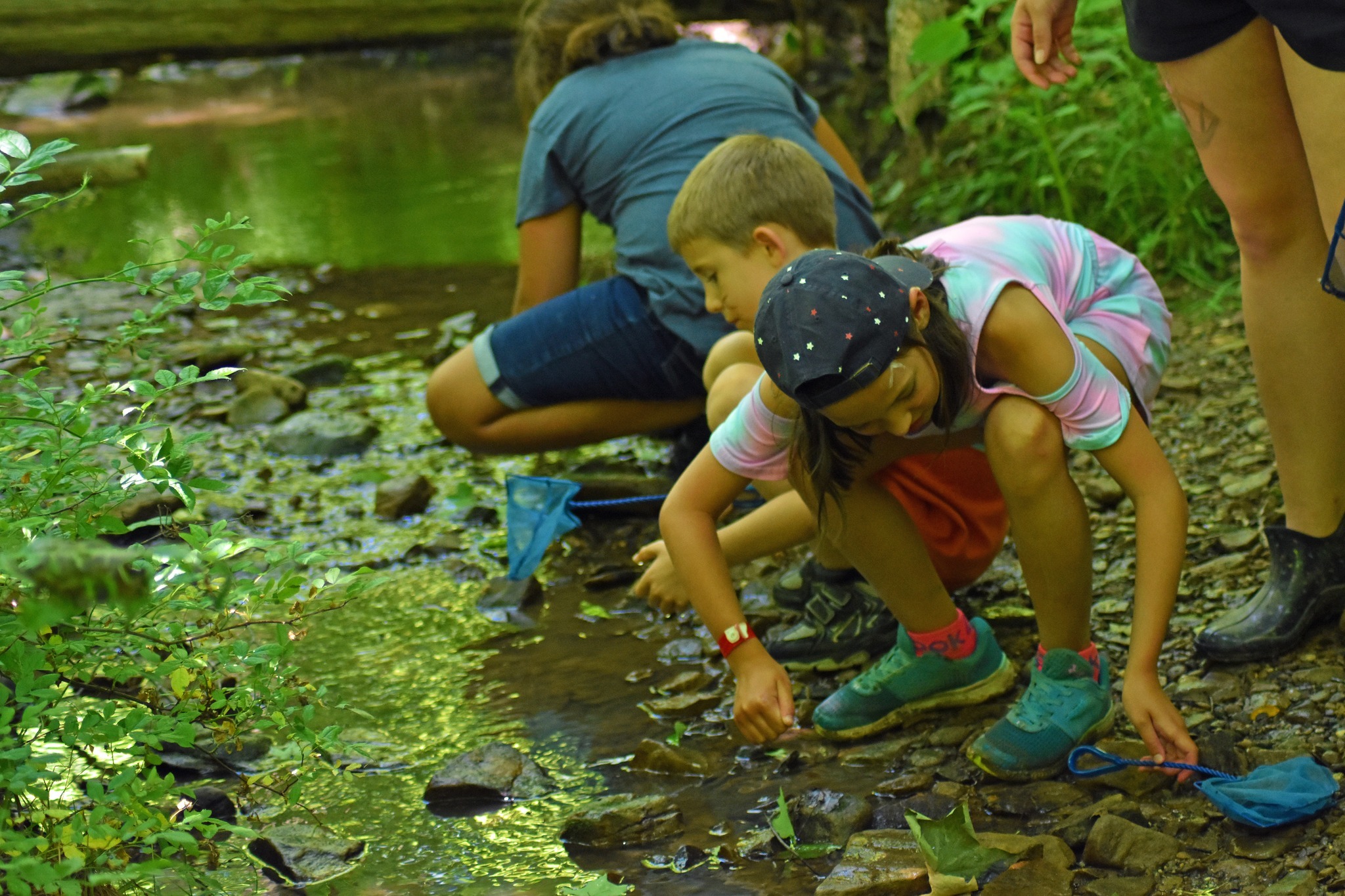 Camp Nuhop фото 1