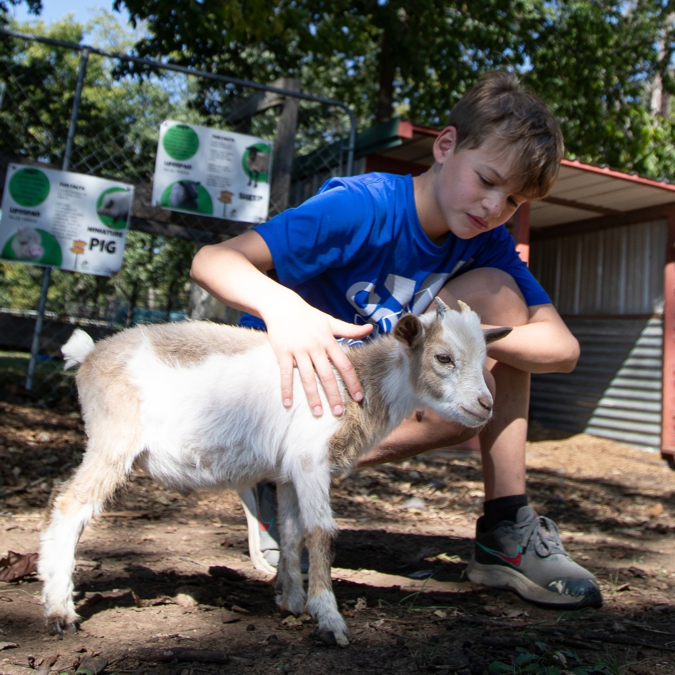 Wildwood Outdoor Education Center Camps фото 1