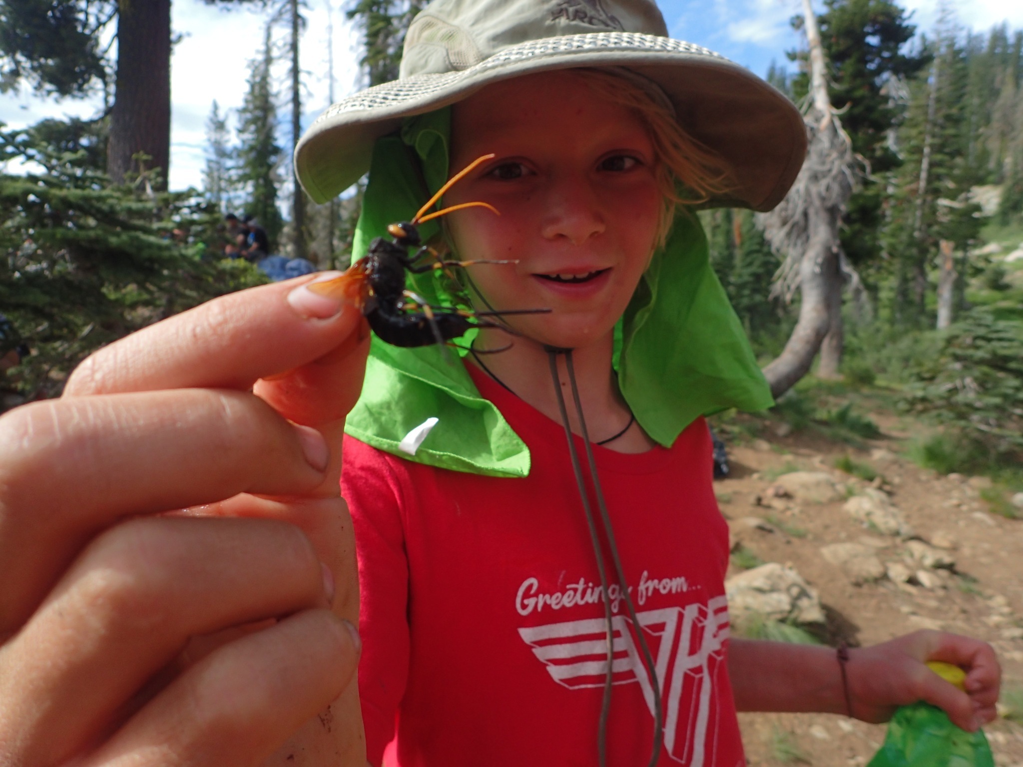 Camp Chrysalis photo 1