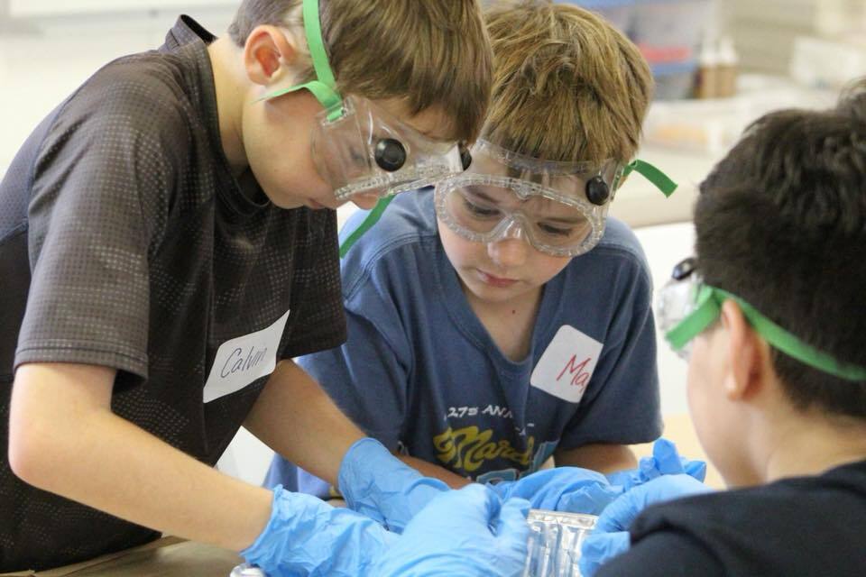 Camp Sunburst фото 1