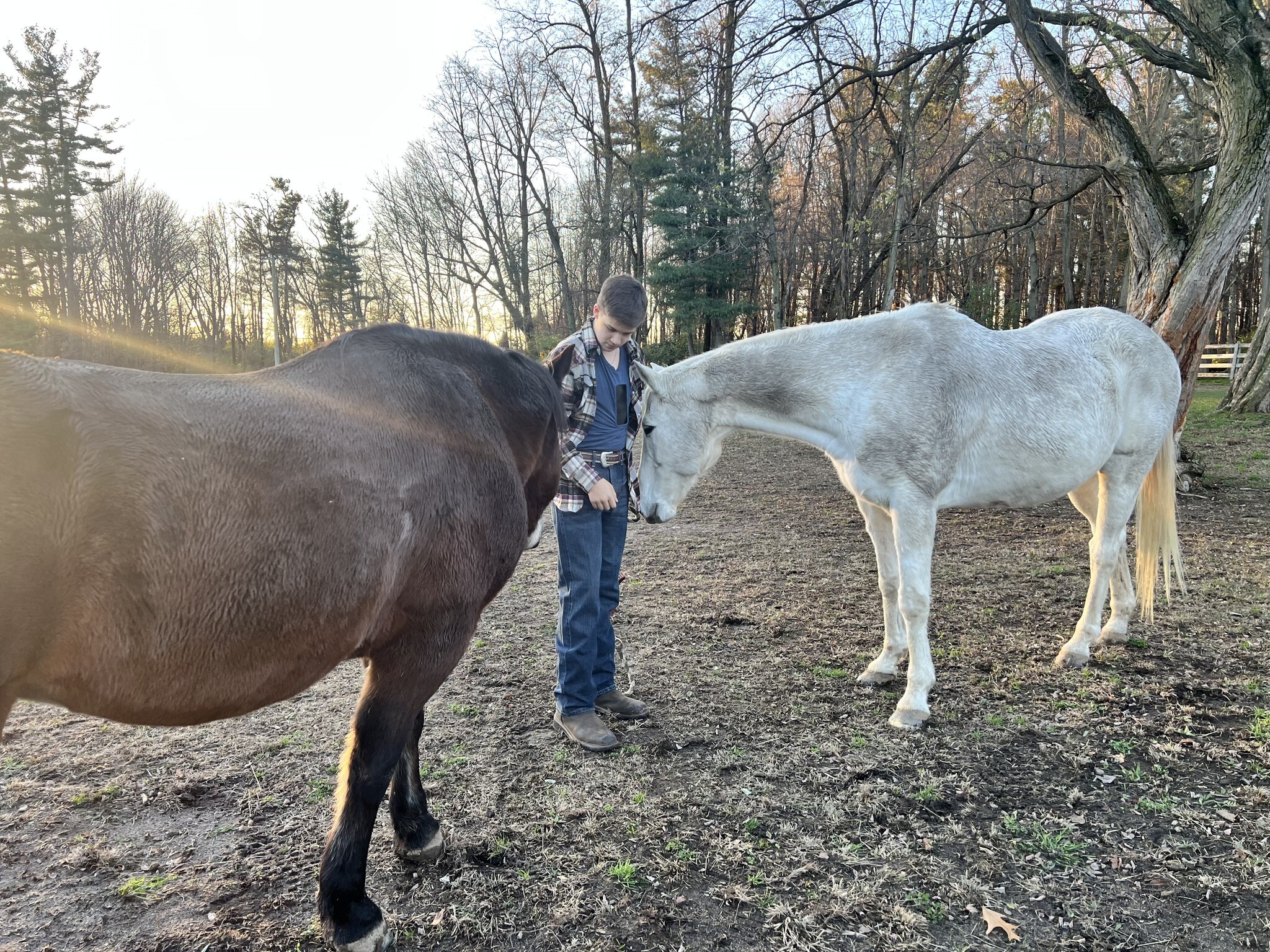 Bay Cliff Health Camp фото 1