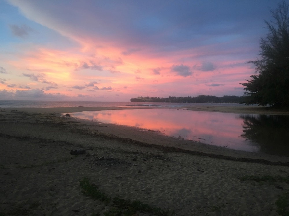 Camp Wheez фото 1