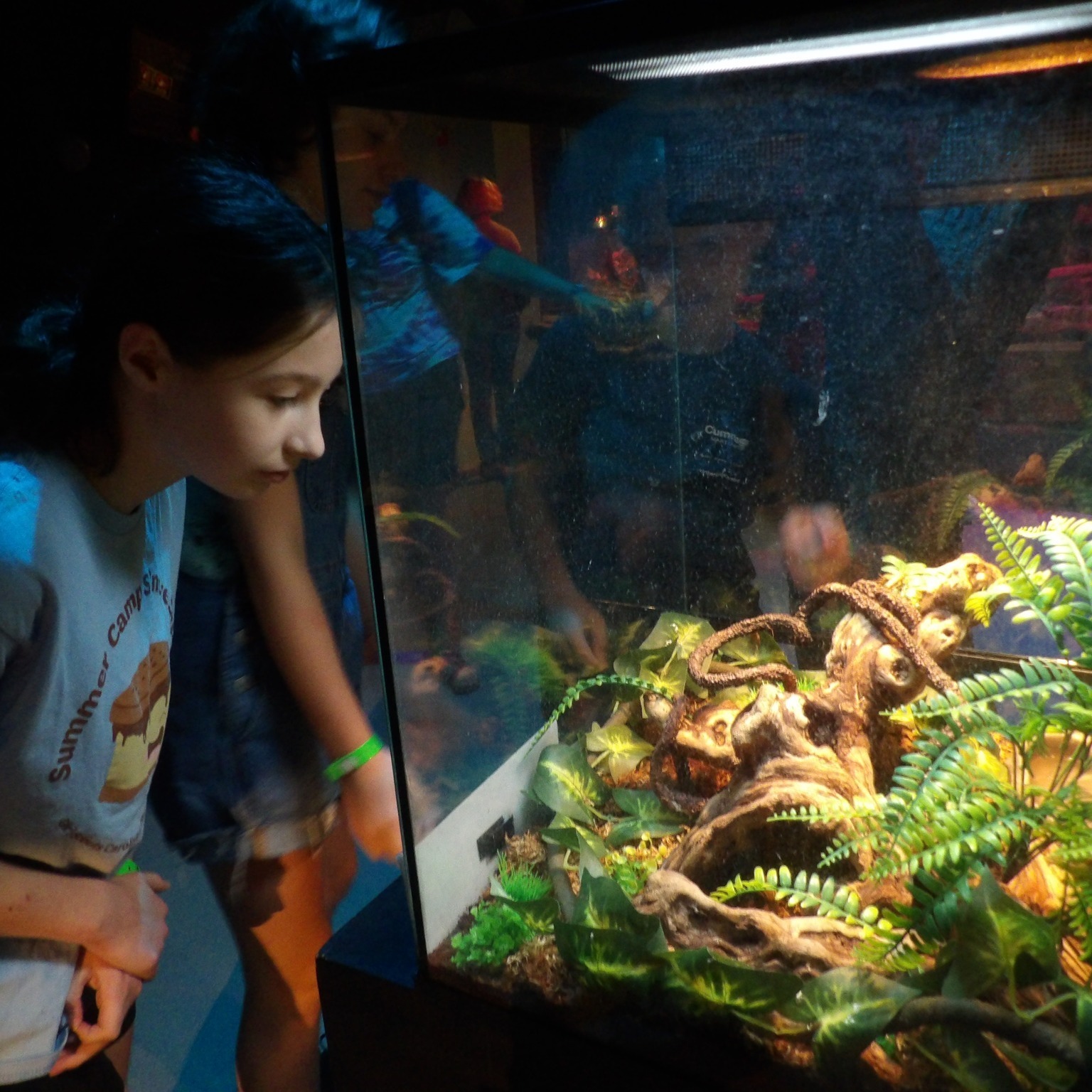 Camp Ginger Cascades photo 1