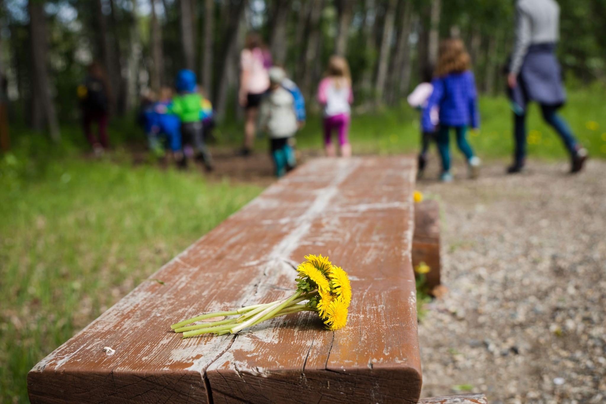Camp Habitat photo 1