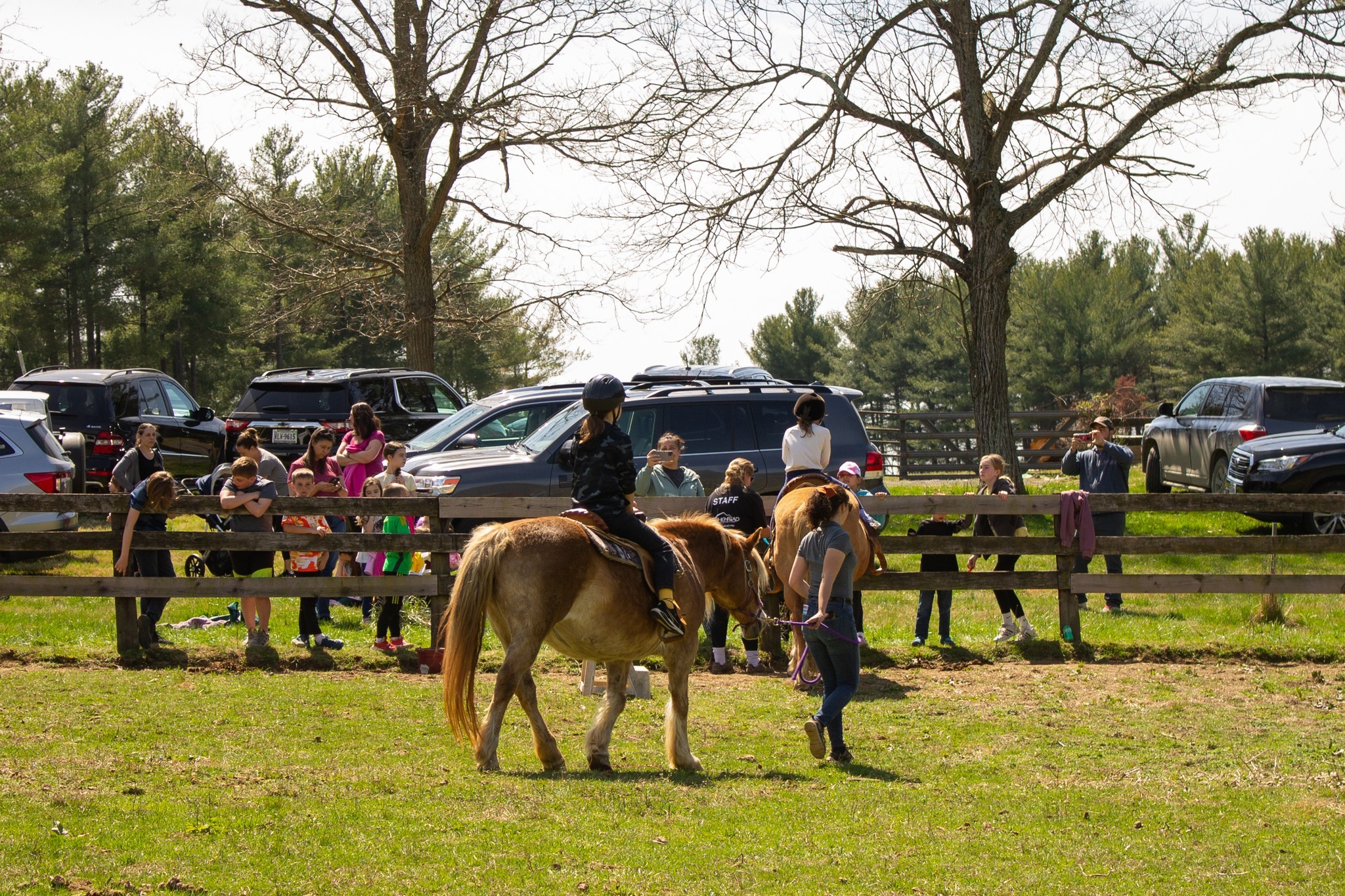 Camp Highroad photo 1