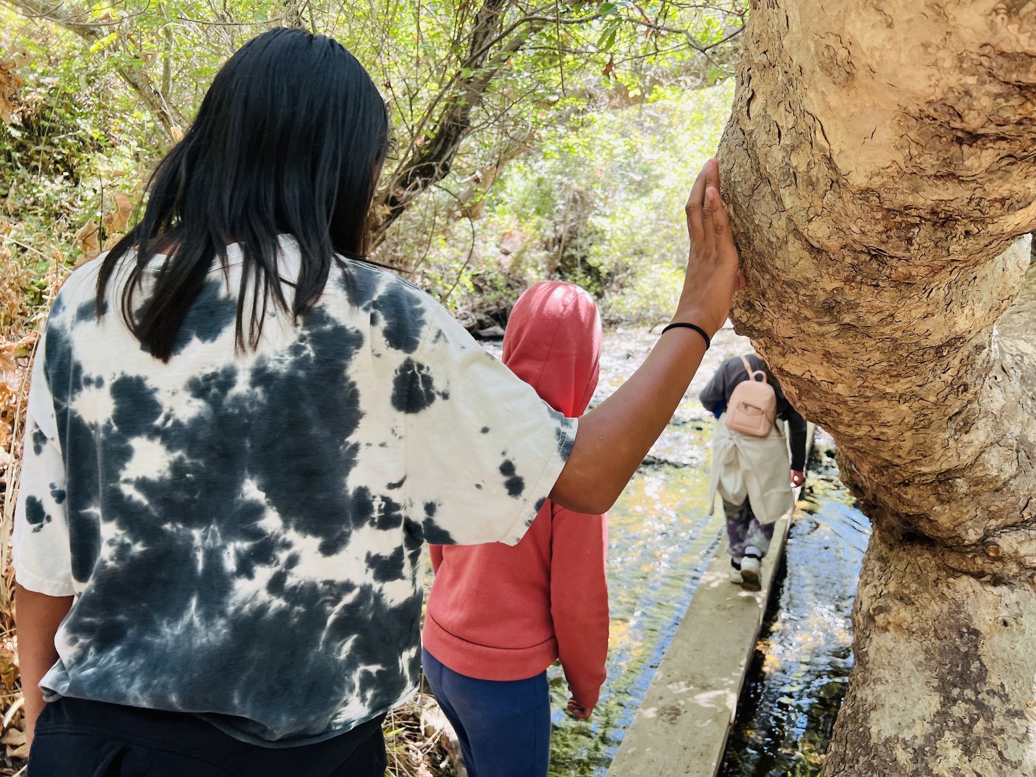 Camp Whittier фото 1