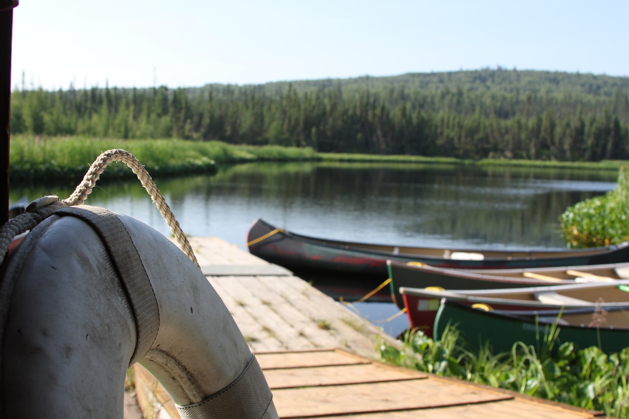 Adventure Treks: Alaska Expedition 24 фото 1