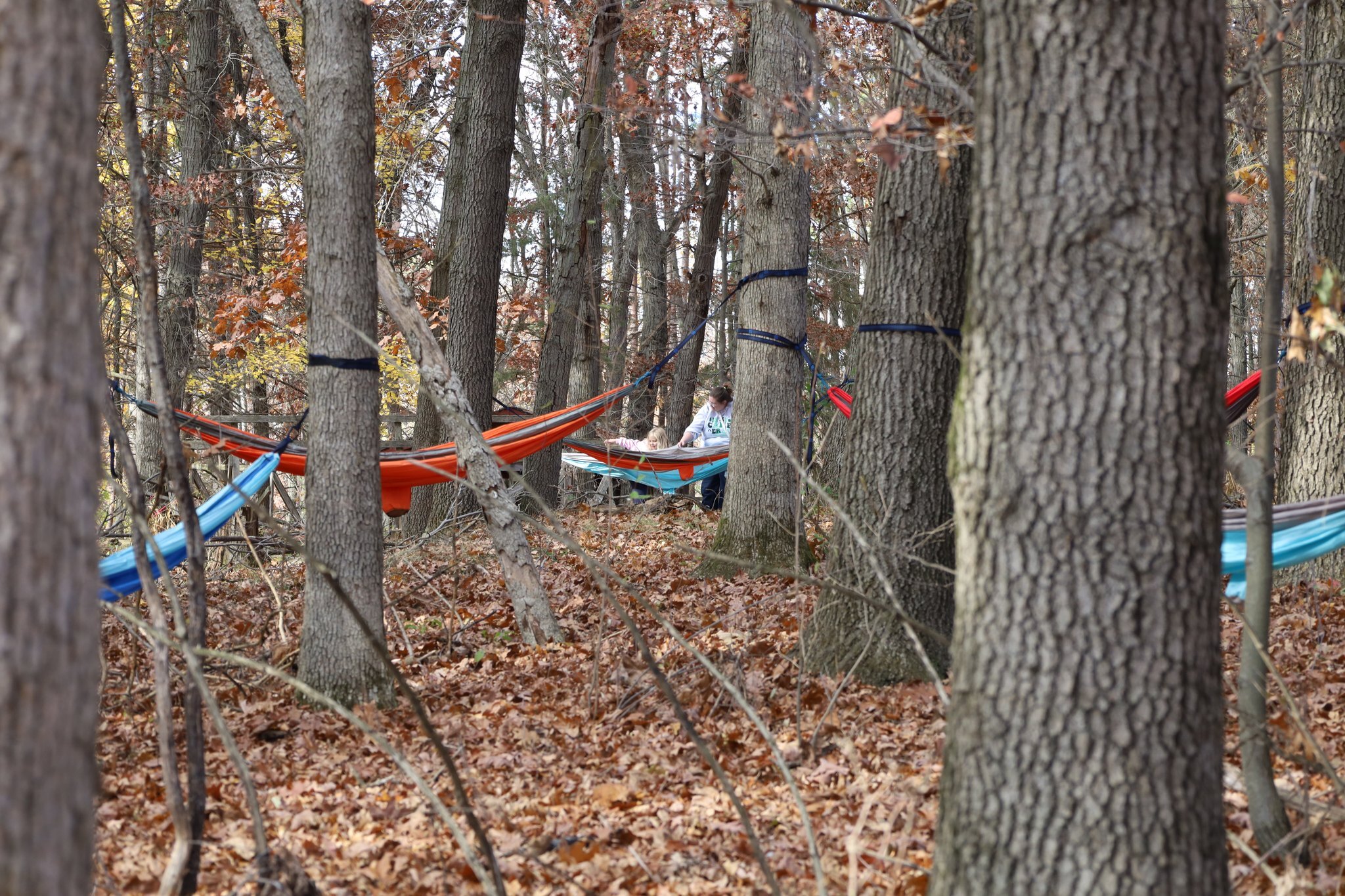 Steppingstone Summer Day Camps фото 1