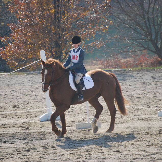 Camp Walden Summer фото 1