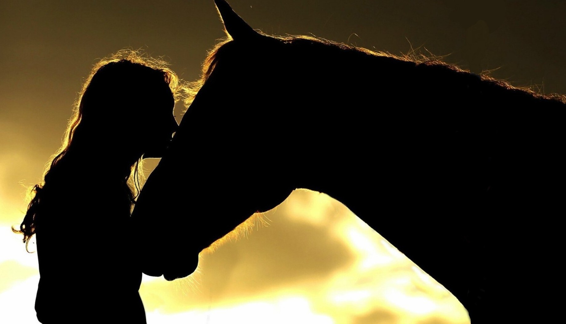 Camp Highlander фото 1