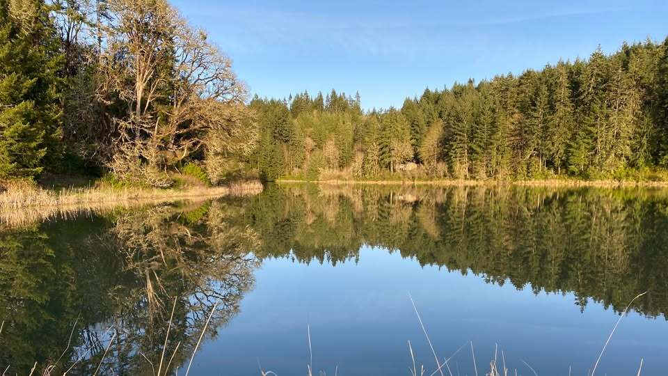 Trackers Earth-Sellwood Camps фото 1