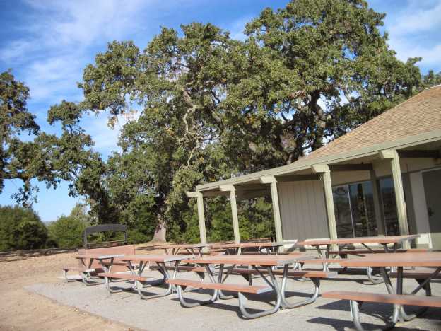 Camp URSA Major: Summer Camp