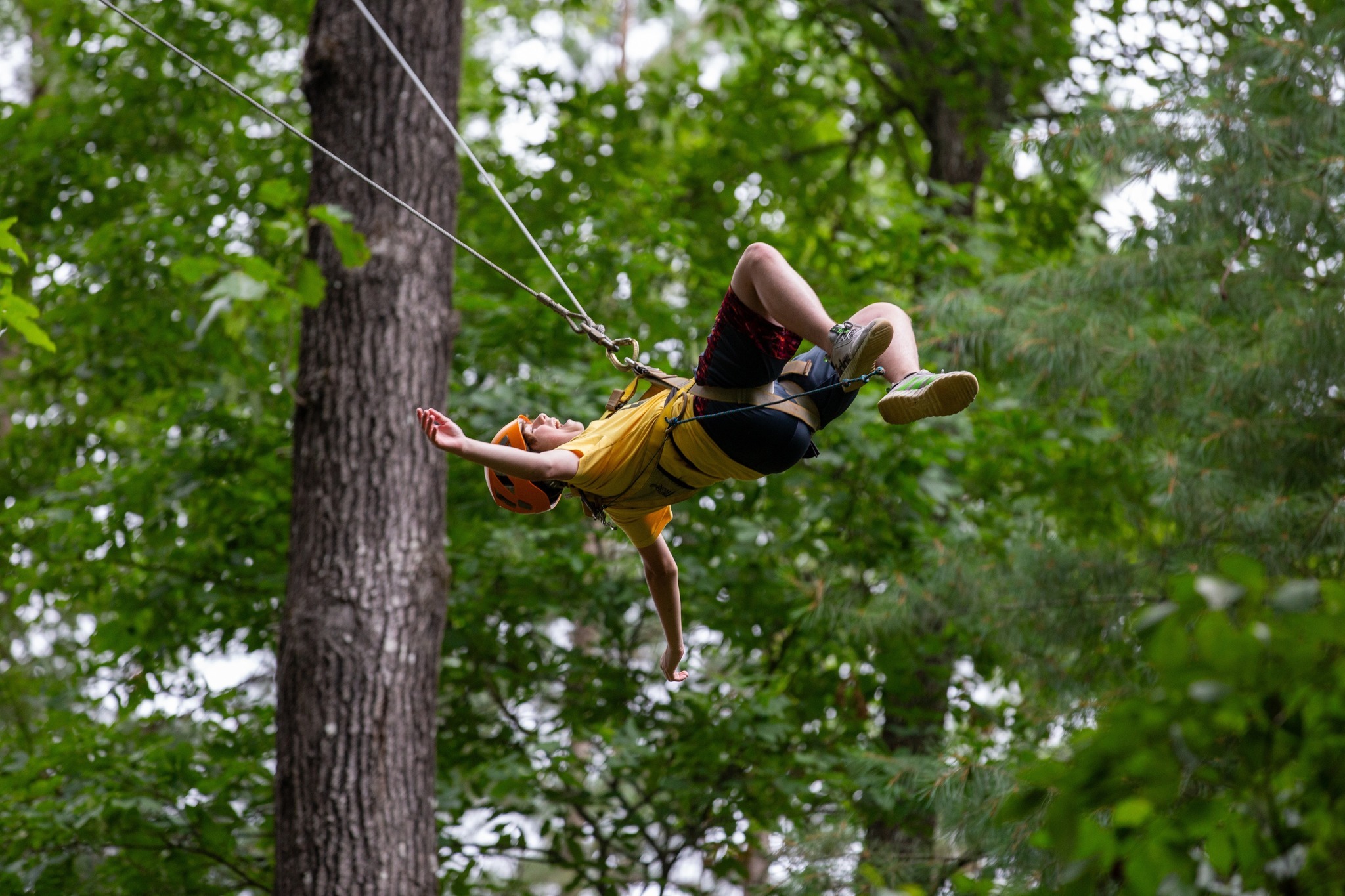 Camp Longridge фото 1