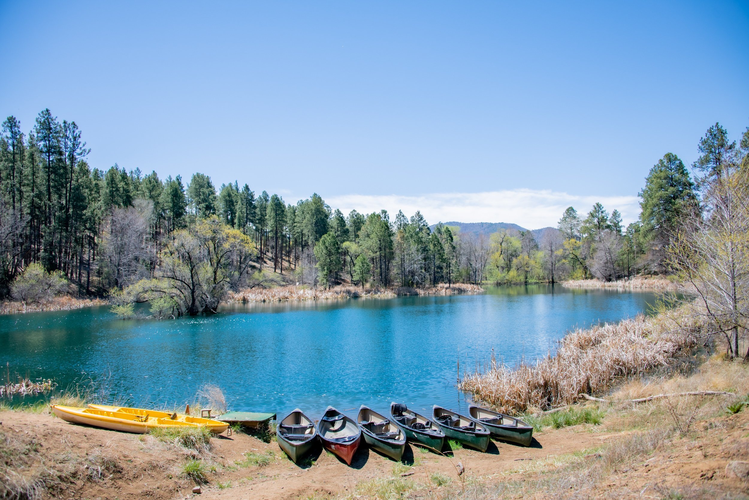Camp Daisy and Harry Stein фото 1
