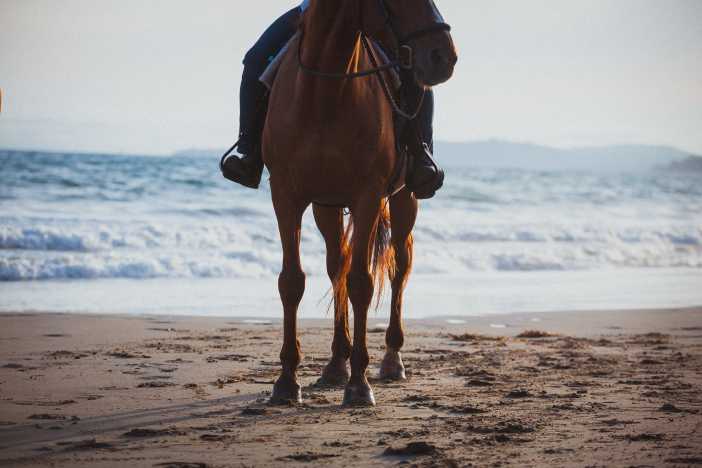 Cannon Trails Summer Horse Camp
