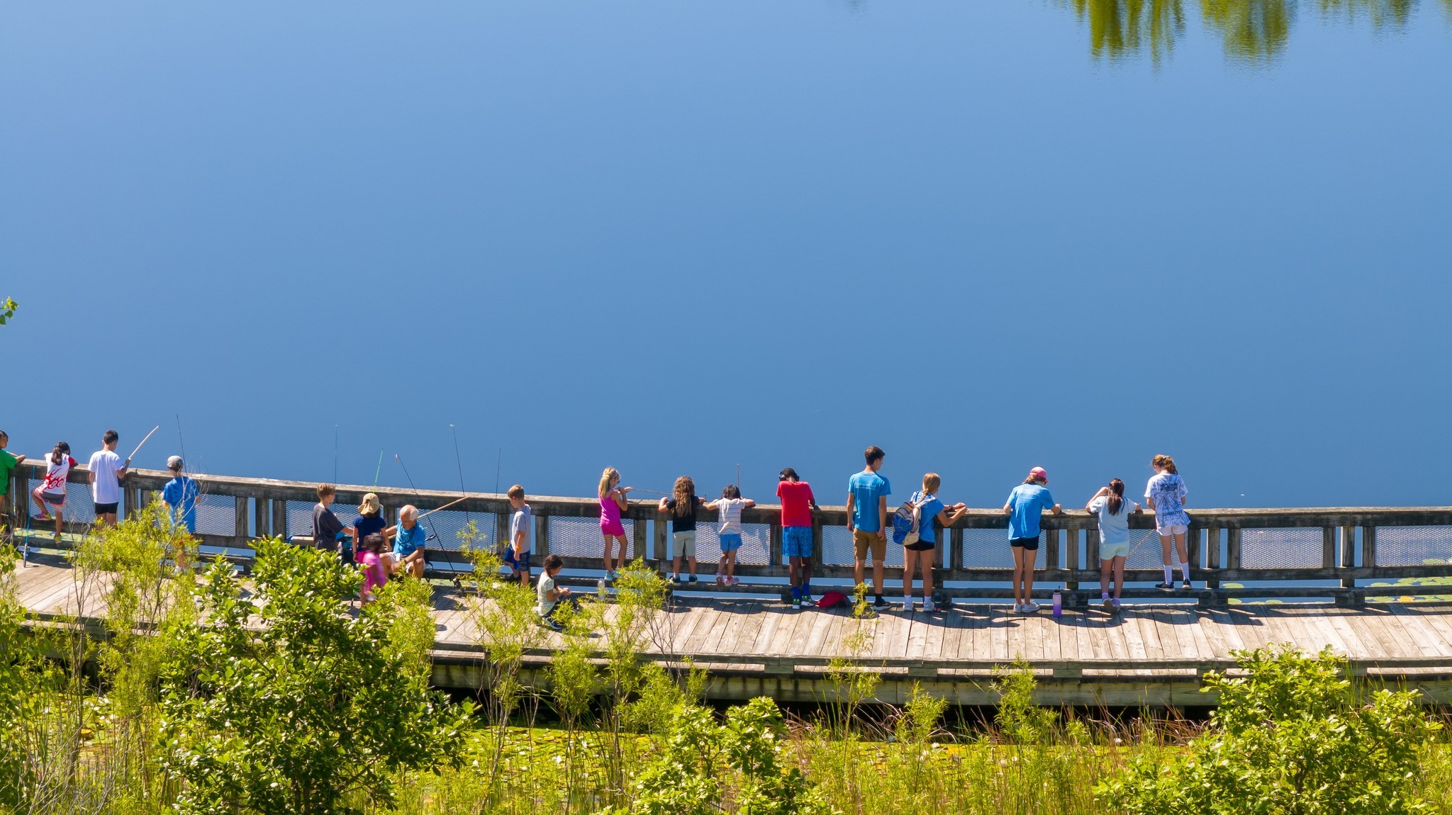 Diabetes Youth Foundation Of Indiana Camp фото 1