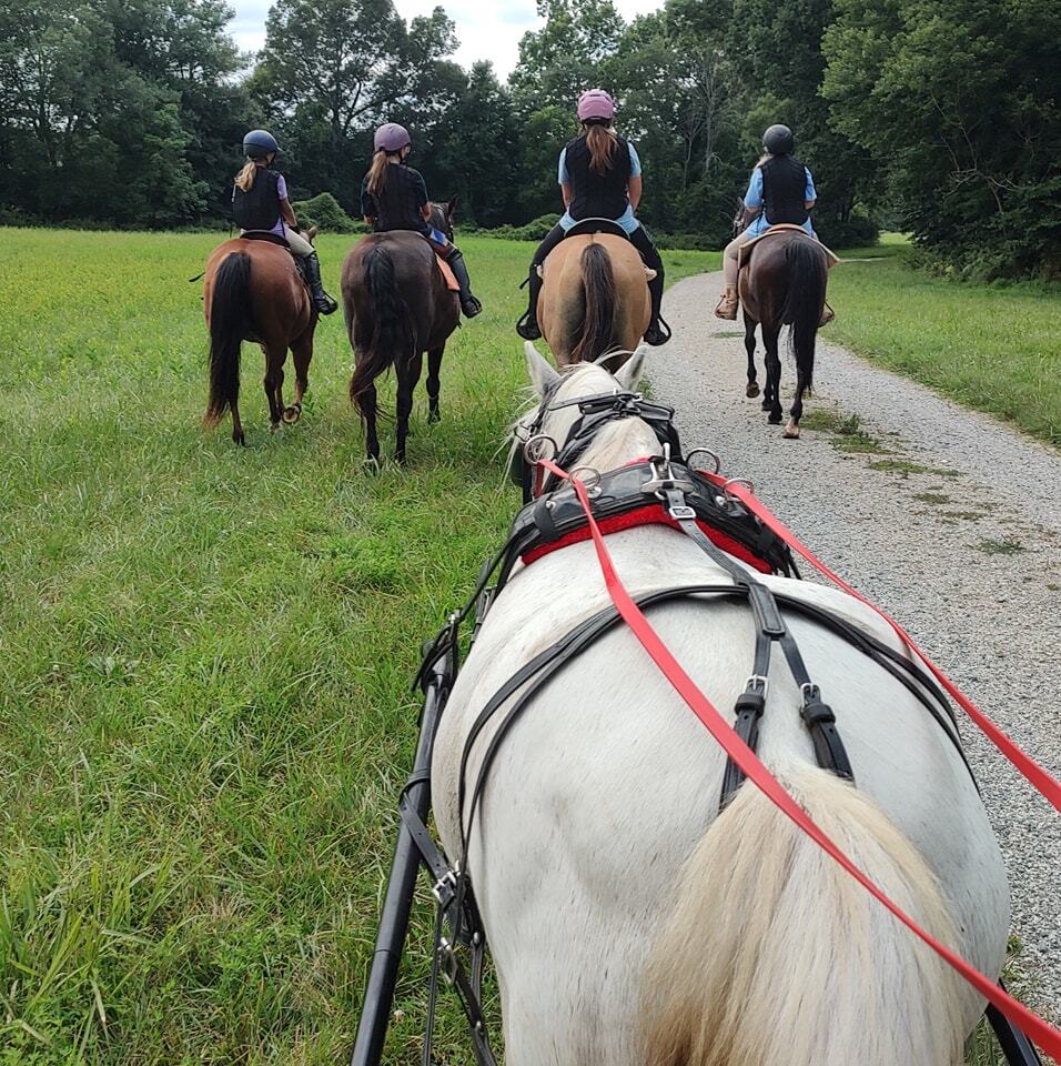 Full Moon Farms Summer Camp фото 1