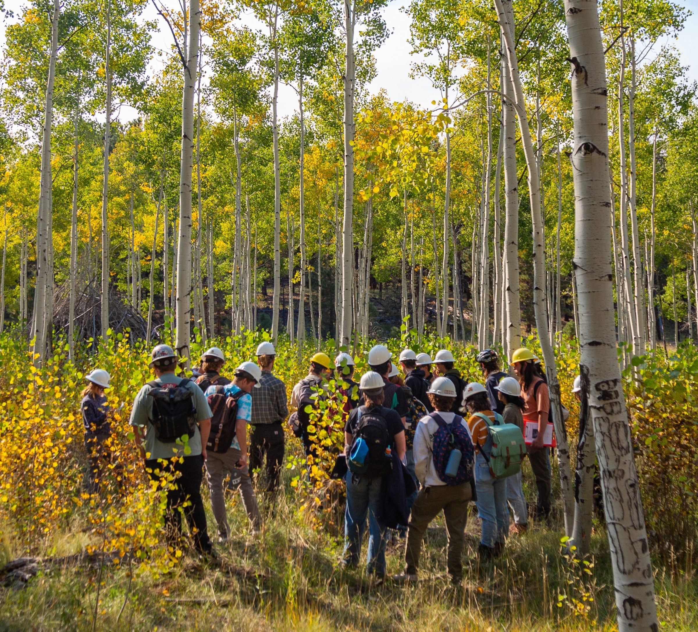 Centennial Forest Envrionmental Education Programs photo 1